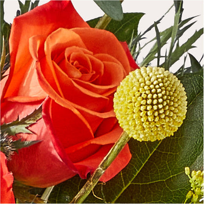 Disco Bouquet – A&L FLORAL, Hamilton NJ