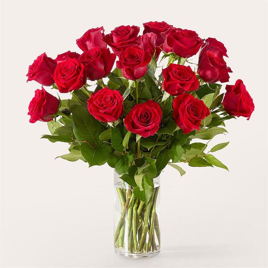 The One Red Rose Bouquet – A&L FLORAL, Hamilton NJ