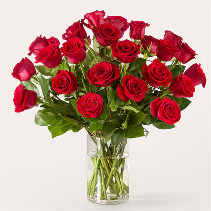 The One Red Rose Bouquet – A&L FLORAL, Hamilton NJ