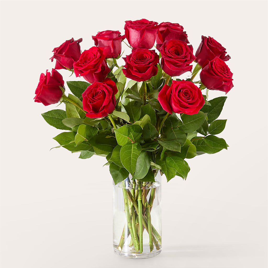 The One Red Rose Bouquet – A&L FLORAL, Hamilton NJ