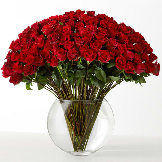 The Idealist – A&L FLORAL, Hamilton NJ