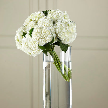 White Hydrangea Hand-Tied Bouquet – A&L FLORAL, Hamilton NJ