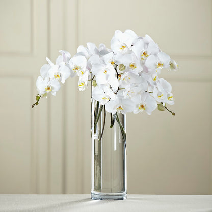 White Phalaenopsis Bouquet – A&L FLORAL, Hamilton NJ