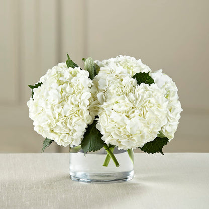 White Hydrangea Bouquet – A&L FLORAL, Hamilton NJ